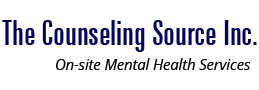 The Counseling Source